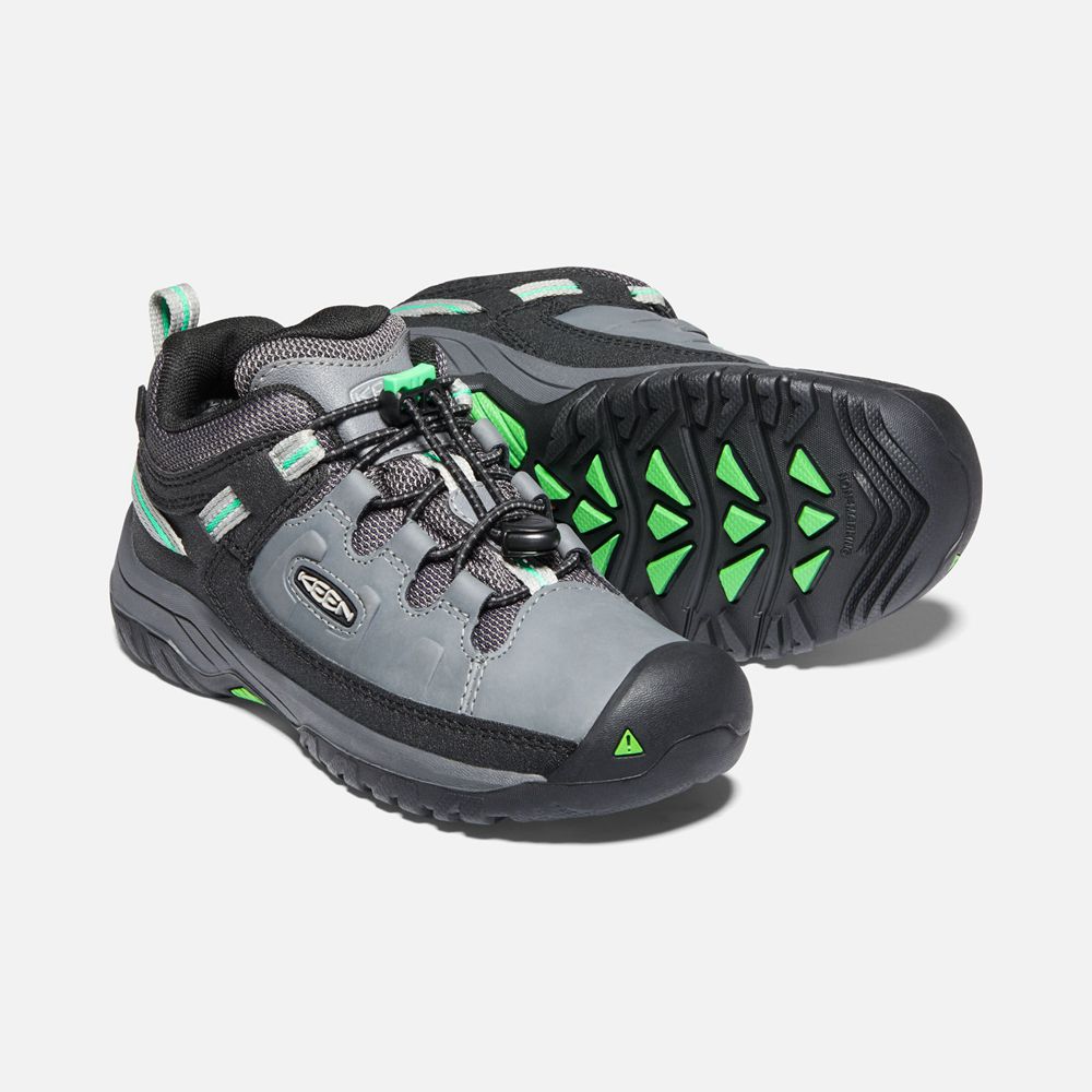 Zapatos de Seguridad Keen Mexico Grises/Verdes - Niños Targhee Waterproof - FT2609583